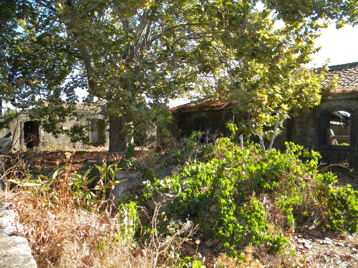 DSCN8184 .JPG